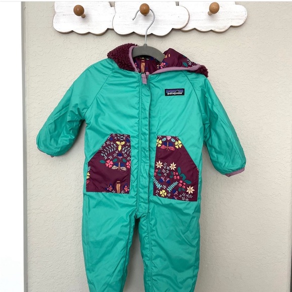 Patagonia Bunting - Picture 4 of 6